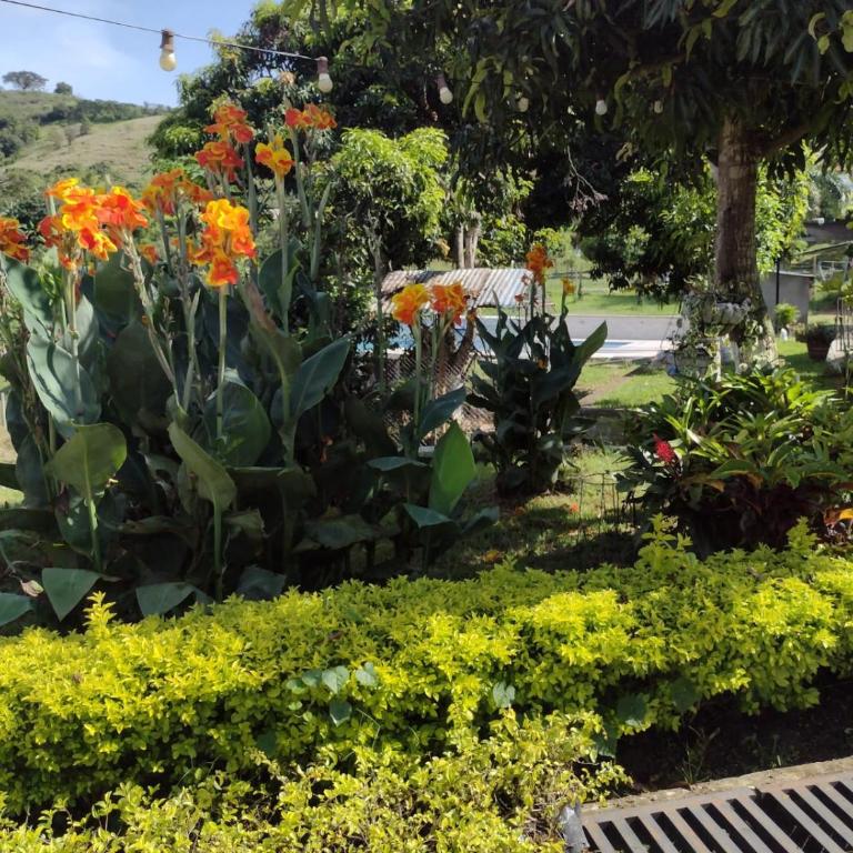 Monteverde Holiday Apartments - Apartamento de 1 dormitorio - 20