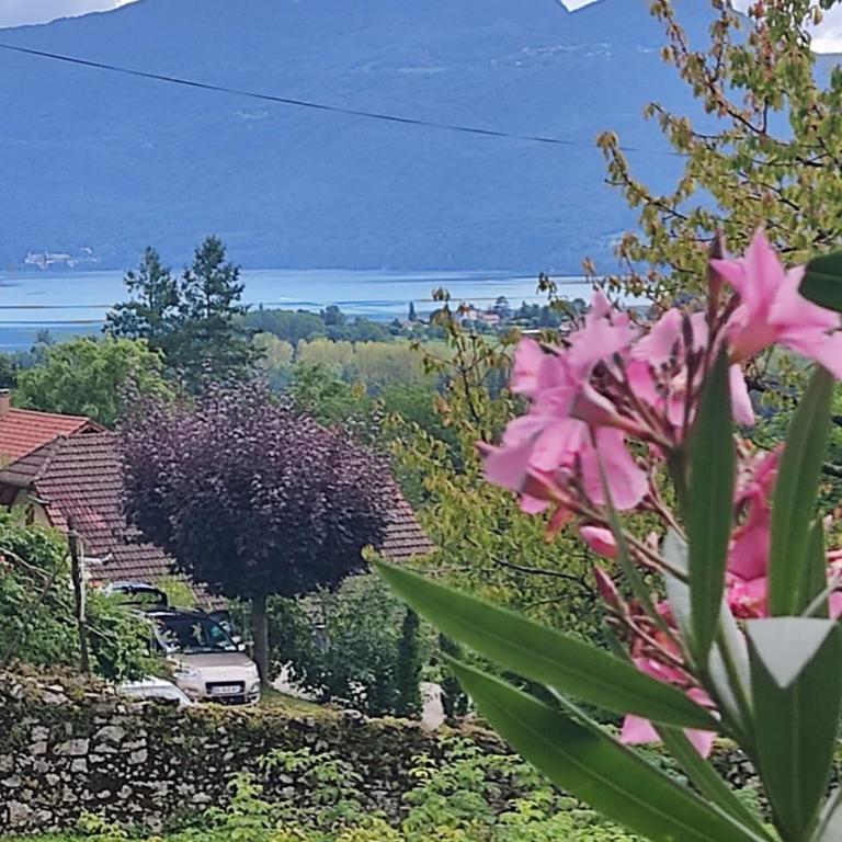 Du Vent Dans Les Arbres -120m2 Belle vue sur le lac - Two-Bedroom House - 29