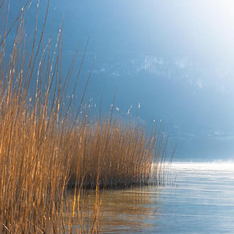 Du Vent Dans Les Arbres -120m2 Belle vue sur le lac - Two-Bedroom House - 33