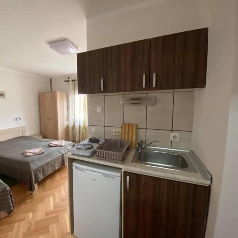 Ozrenska bašta apartmani - Studio with Terrace - 4