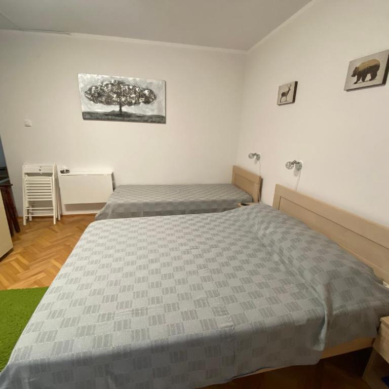 Ozrenska bašta apartmani - Studio with Terrace - 5