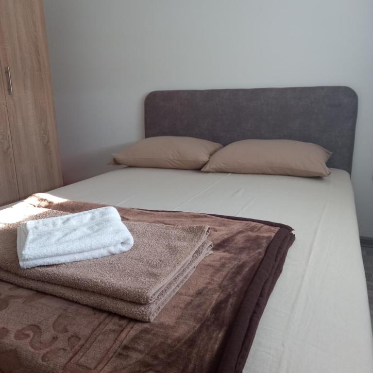 Apartman Vasilije Banja Koviljaca - Apartman sa 1 Spavaćom Sobom - 2