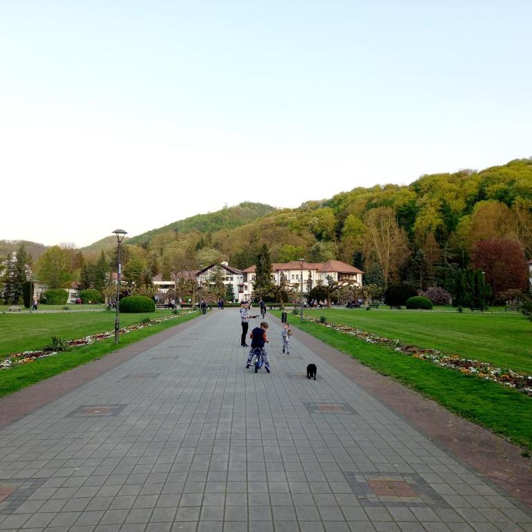 Apartman Vasilije Banja Koviljaca - Apartman sa 1 Spavaćom Sobom - 10