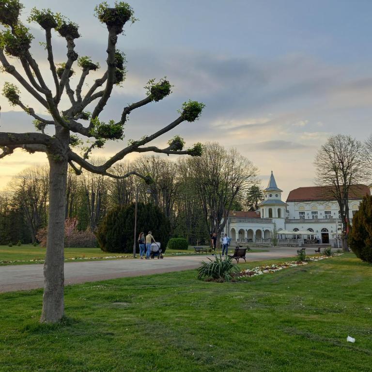 Apartman Vasilije Banja Koviljaca - Apartman sa 1 Spavaćom Sobom - 9