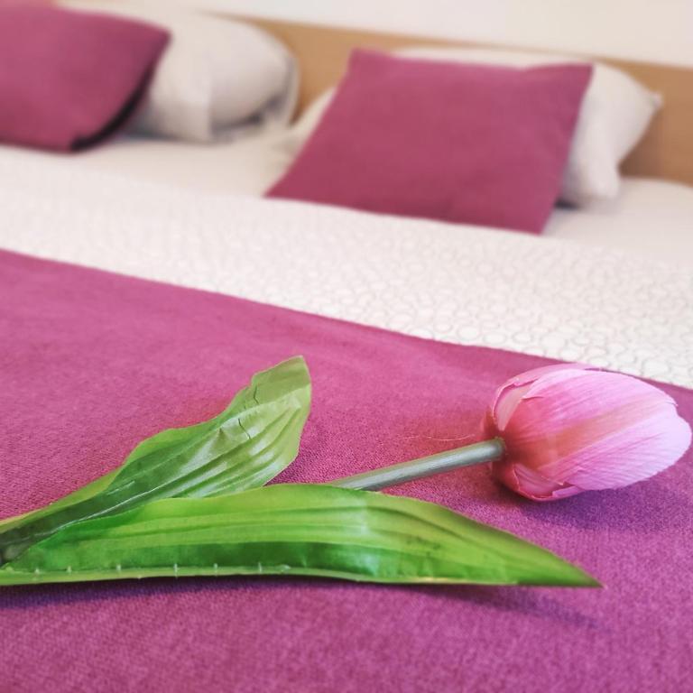 Apartment Katica Mostar - Two-Bedroom Apartment - 15