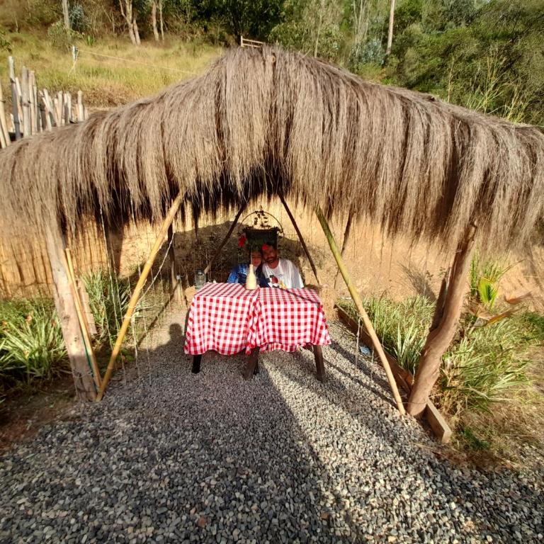 IslaMontaña Glamping - Isla Colibrí - 8