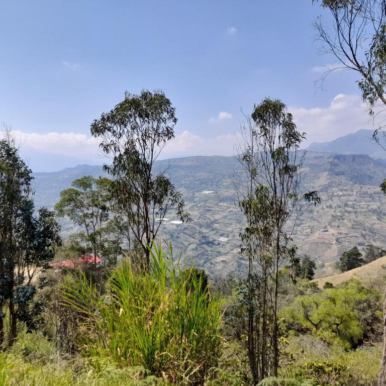 IslaMontaña Glamping - Isla Colibrí - 7