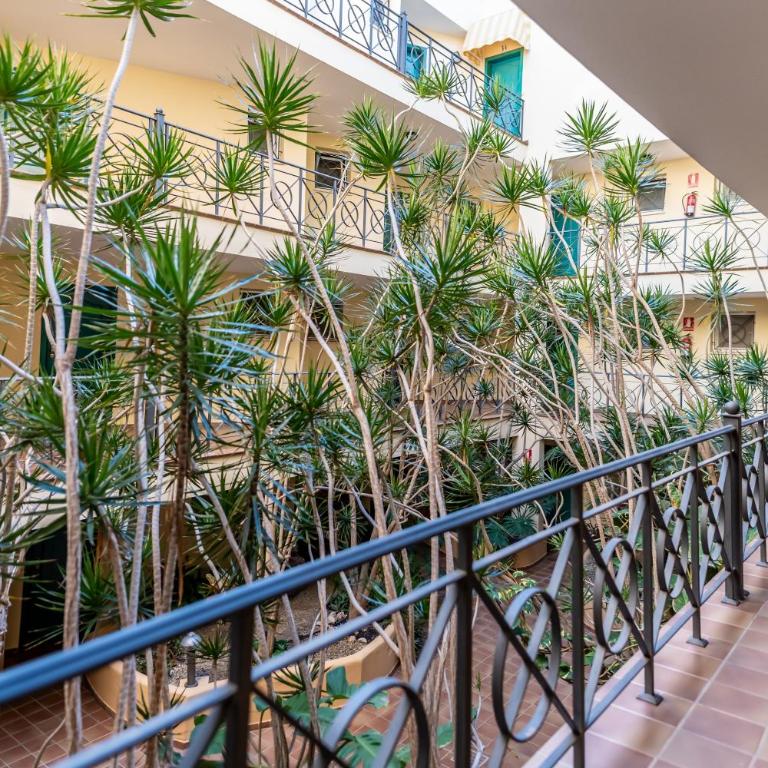 Tropical Holiday Apartment - Apartamento de 1 dormitorio - 25