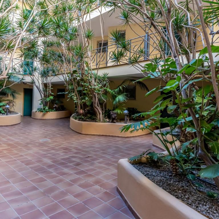 Tropical Holiday Apartment - Apartamento de 1 dormitorio - 26