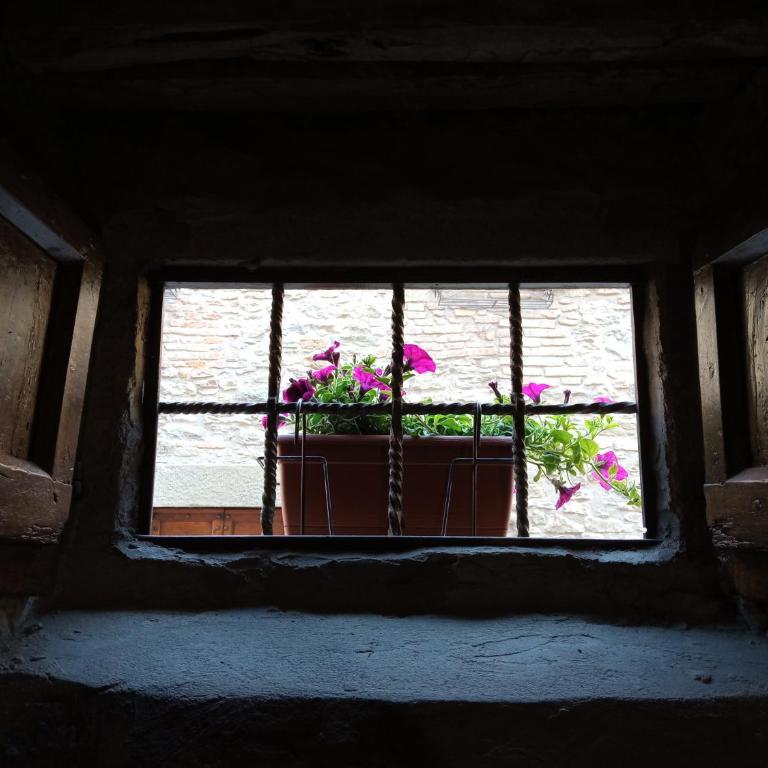 Appartamento Io e Te Cortona centro storico - seconda doccia su romantica corte - Appartamento con 2 Camere da Letto - 33