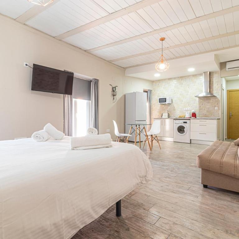 Allo Apartments Plateros Centro Jacuzzi Comunitario - Loft - 10
