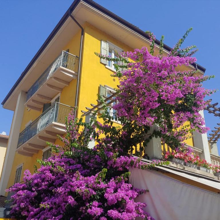 Studio Apartments Baia Azzurra 7 - Apartment mit 1 Schlafzimmer - 30