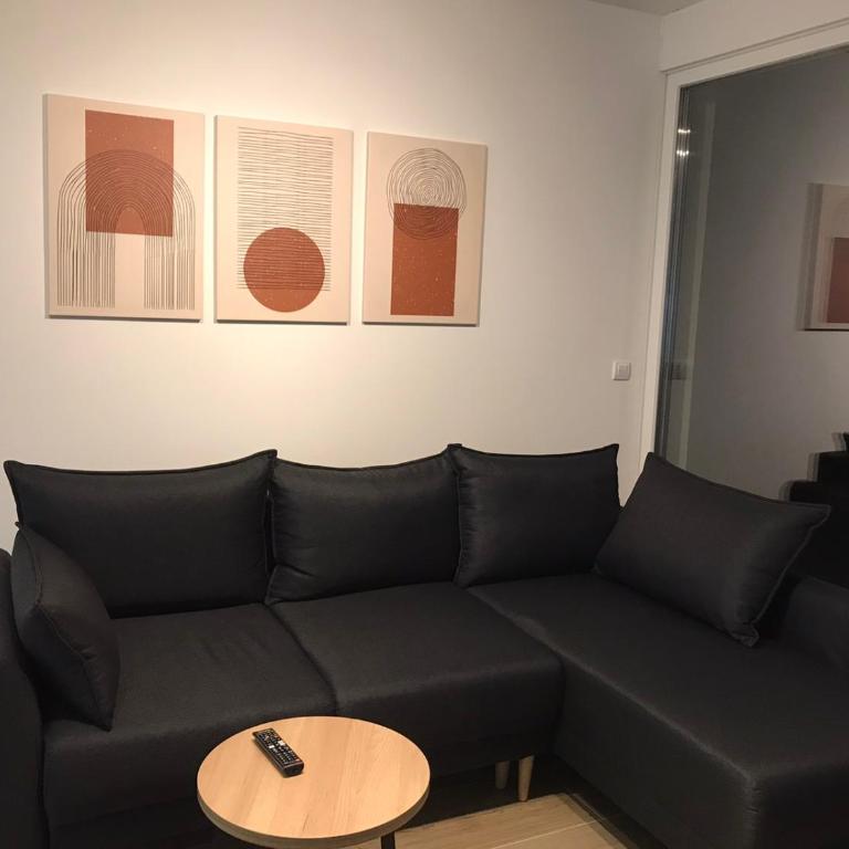 Apartman SRNA, Vila JEZERO - Apartman sa 1 Spavaćom Sobom - 37