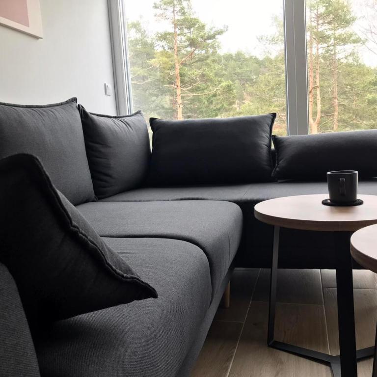 Apartman SRNA, Vila JEZERO - Apartman sa 1 Spavaćom Sobom - 12