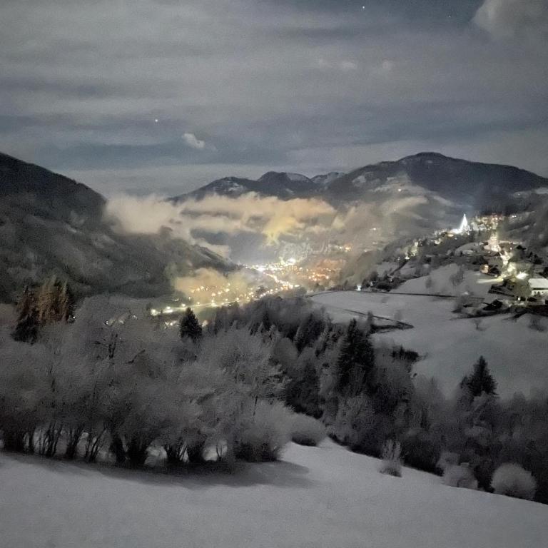 Landhaus Schönblick - Apartment mit Blick auf die Berge - 33