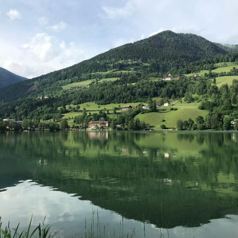 Landhaus Schönblick - Apartment mit Blick auf die Berge - 29
