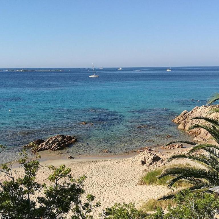 Appartement VAIANA avec piscine en bord de mer - Appartement 1 Chambre - 12