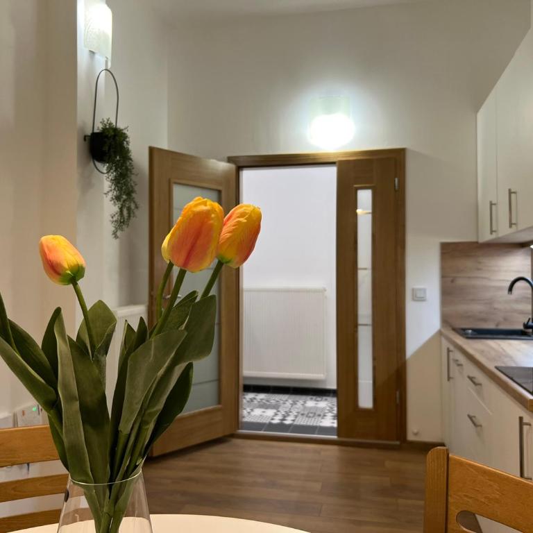 Penthouse City Center - Two-Bedroom Apartment - 13