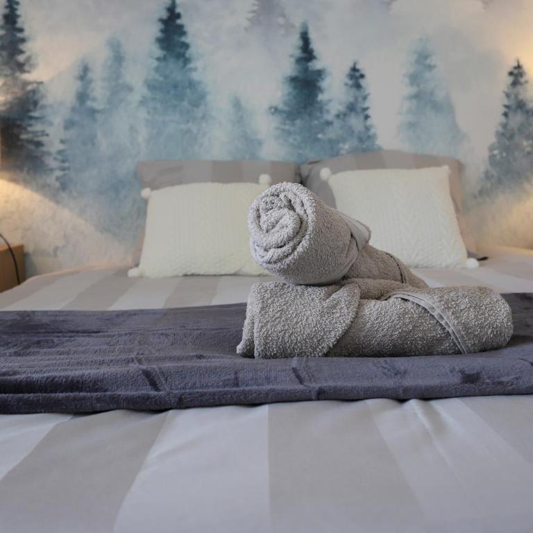 Cocon Annécien entre lac et montagne classé 1 étoile - Appartamento con 1 Camera da Letto - 45