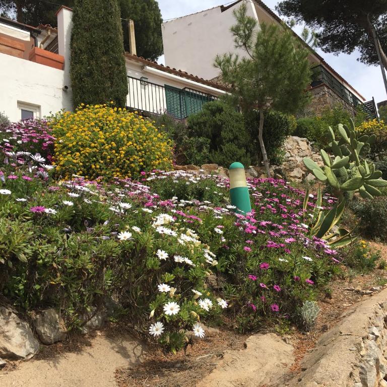 Apartamento Islas Medas WIFI y PARKING GRATIS - Apartment with Sea View - 53
