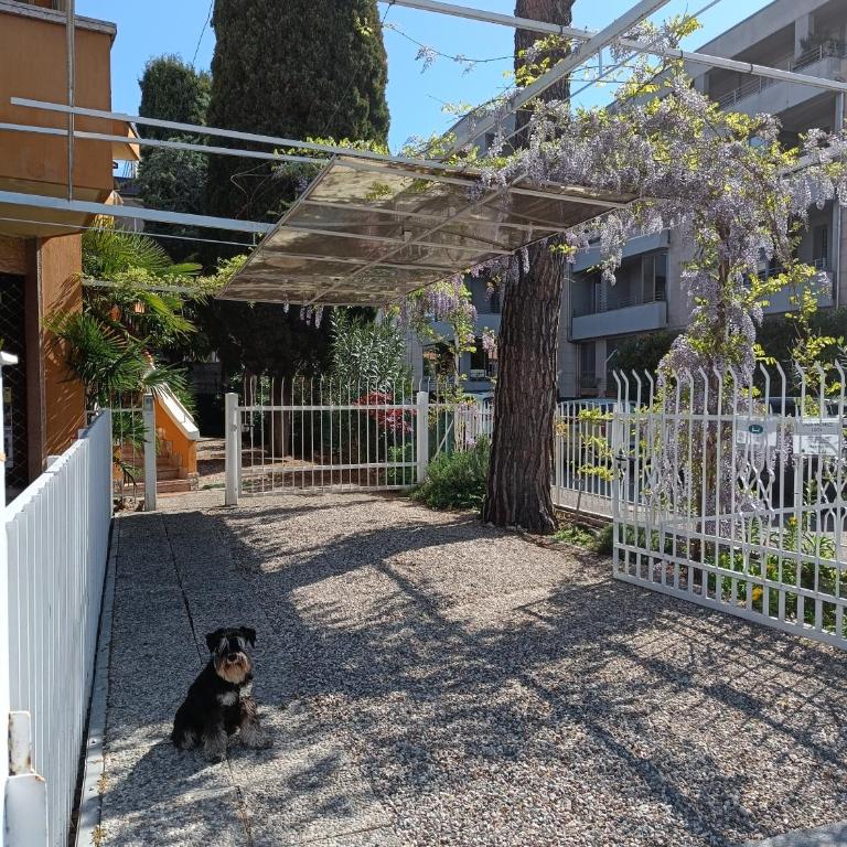 Casa Lucy - Casa con 2 Camere da Letto - 31