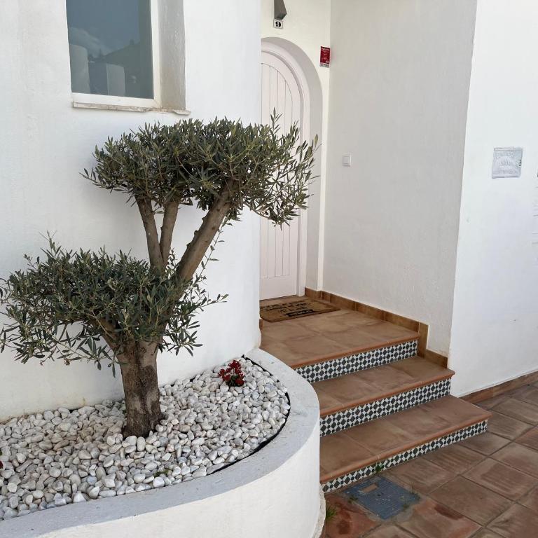 Casa del olivo - Casa de 4 dormitorios - 47