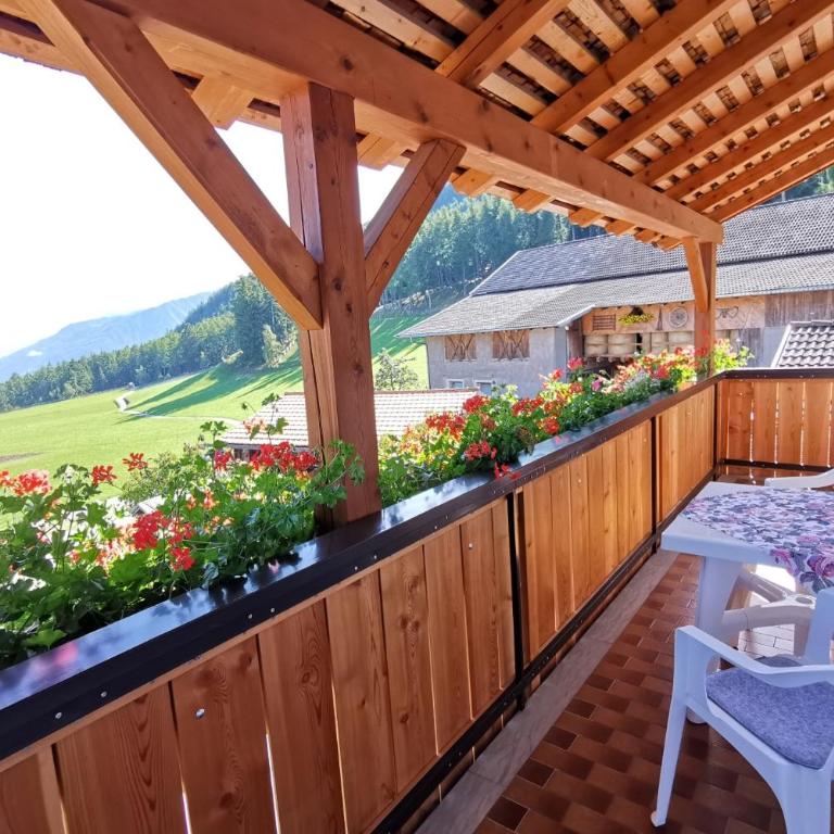 Bio-Bauernhof Mairinghof-Paris - Apartment mit Blick auf die Berge - 2
