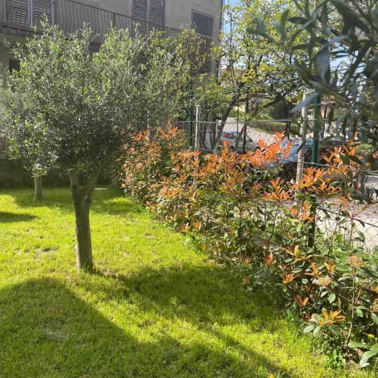 Venice Apartments - Apartman sa 1 Spavaćom Sobom - 14
