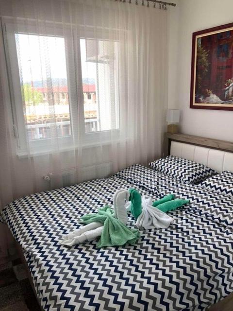 Tri palme - Apartman sa 1 Spavaćom Sobom - 14