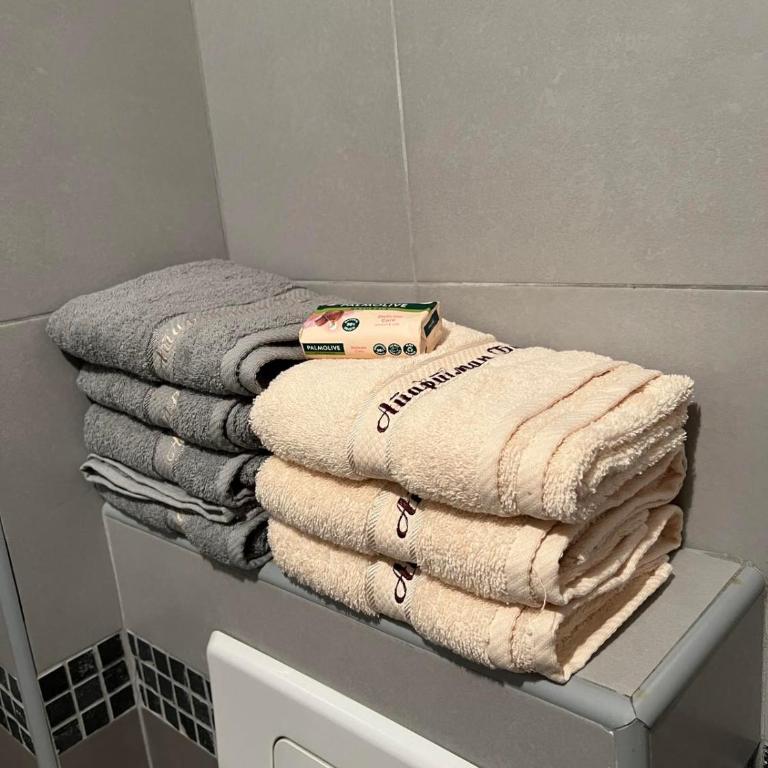 Apartman Bilja - Apartman sa 1 Spavaćom Sobom - 2