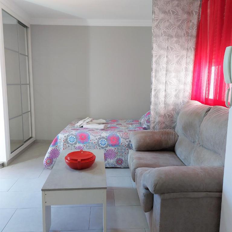 Estudio Lola - Apartamento de 1 dormitorio - 2