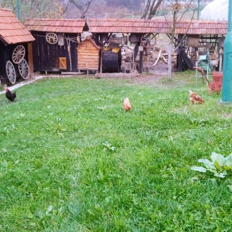 Etno selo Visoko Apartmani - Standardni Apartman - 6