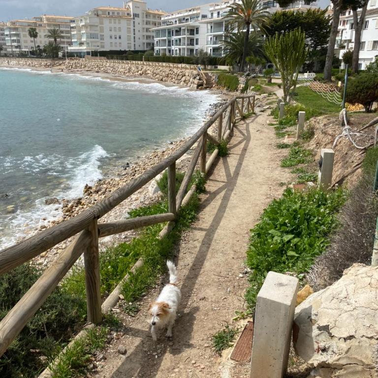 ALTEA BEACHGATE 2 ACCESO DIRECTO A LA PLAYA - Apartamento de 1 dormitorio - 34