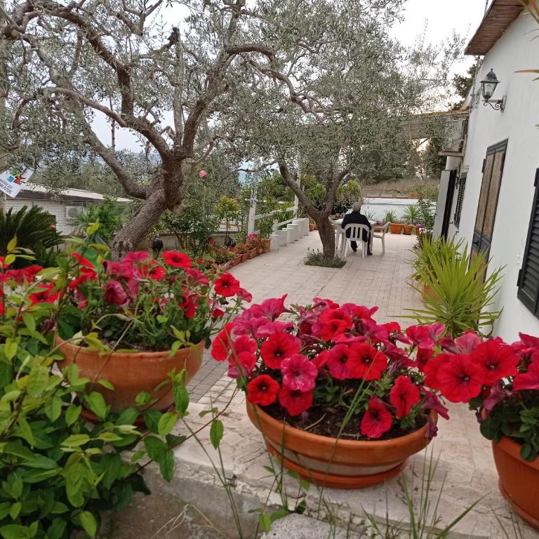 Il Corbezzolo - Casa con 1 Camera da Letto - 23