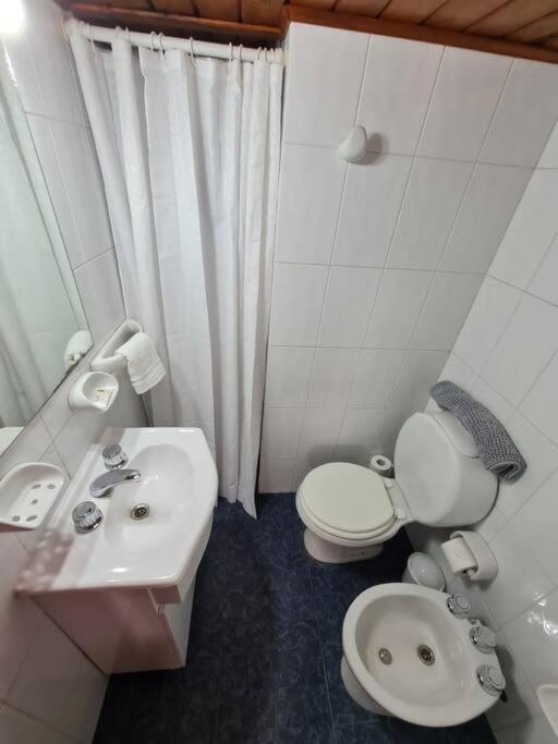 Puerto Cabañas Lacar - Two-Bedroom Apartment - 4