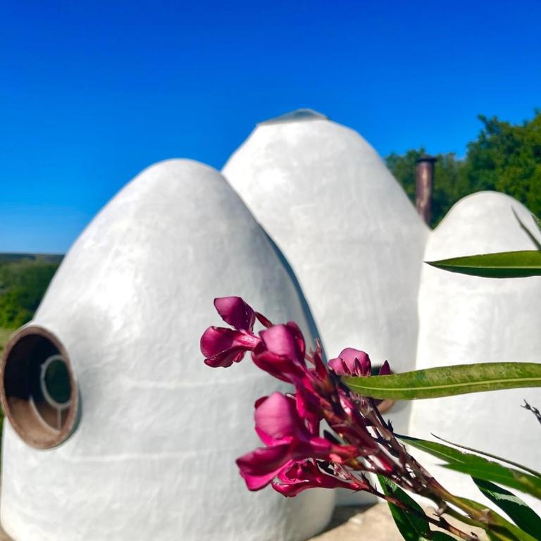 Valle de Domos - Minas - One-Bedroom House - 10