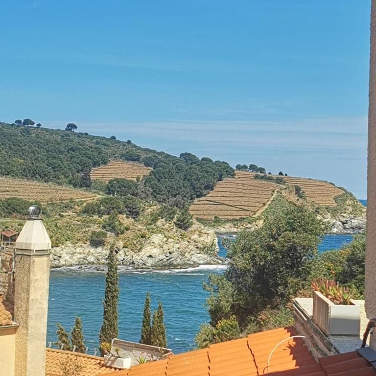 Banyuls Solaris les Elmes - Appartamento con 1 Camera da Letto - 2
