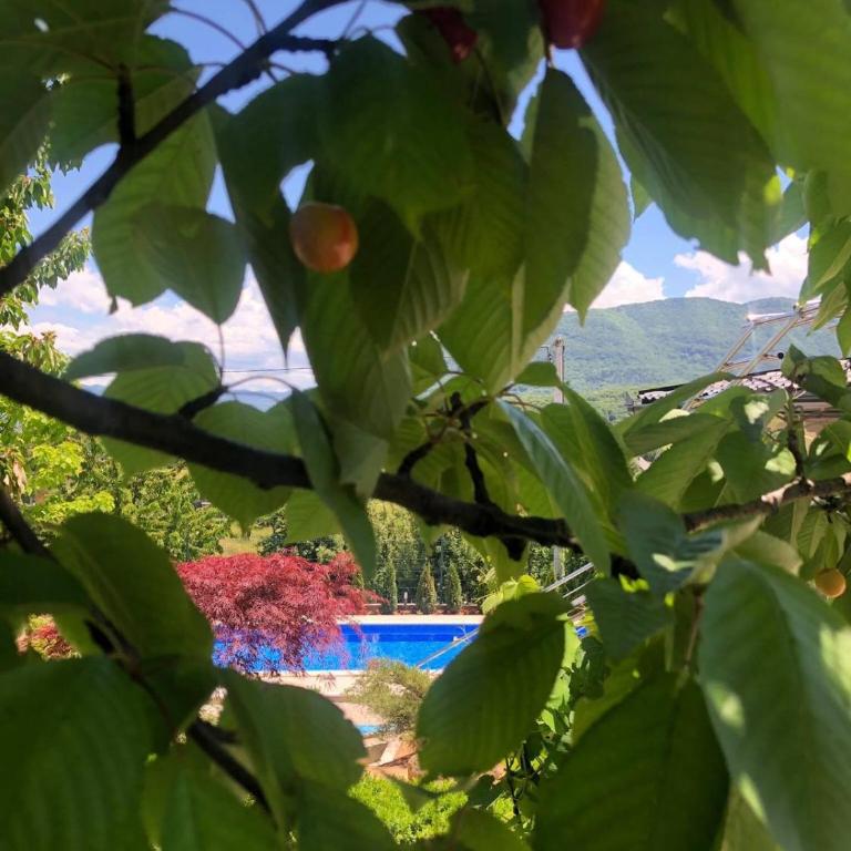 Villa Elma - Vila - 33