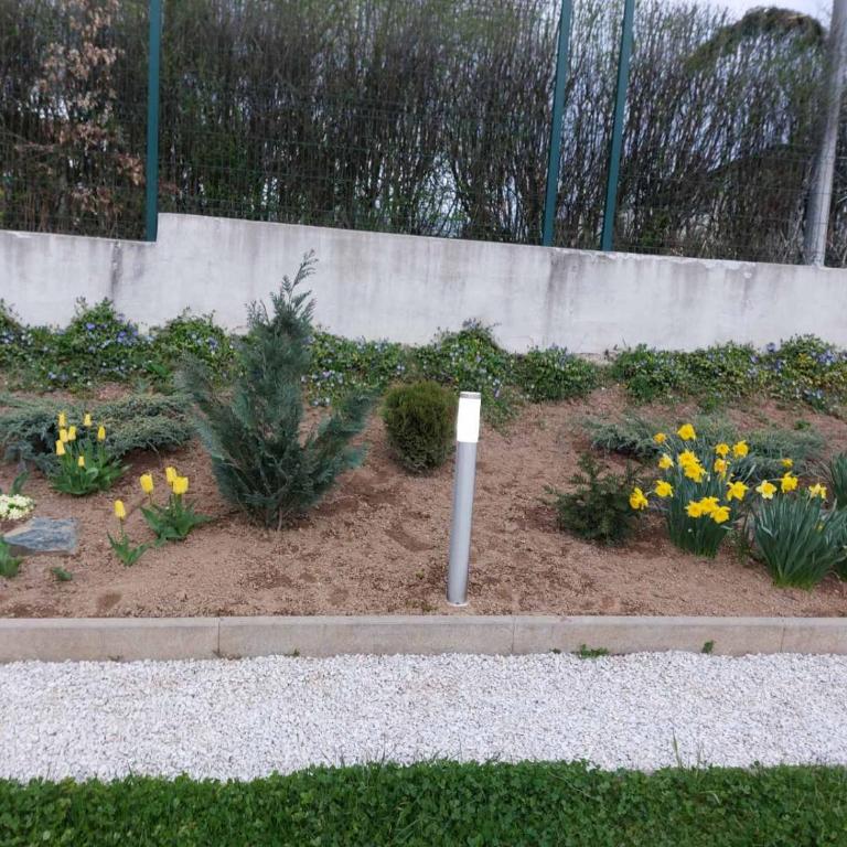 Villa Elma - Vila - 57