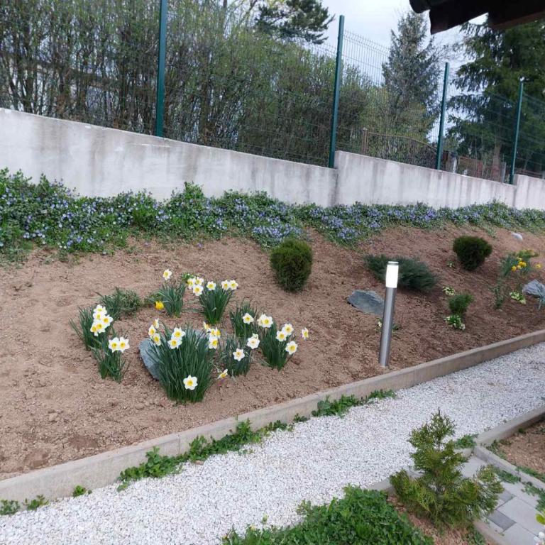 Villa Elma - Vila - 56
