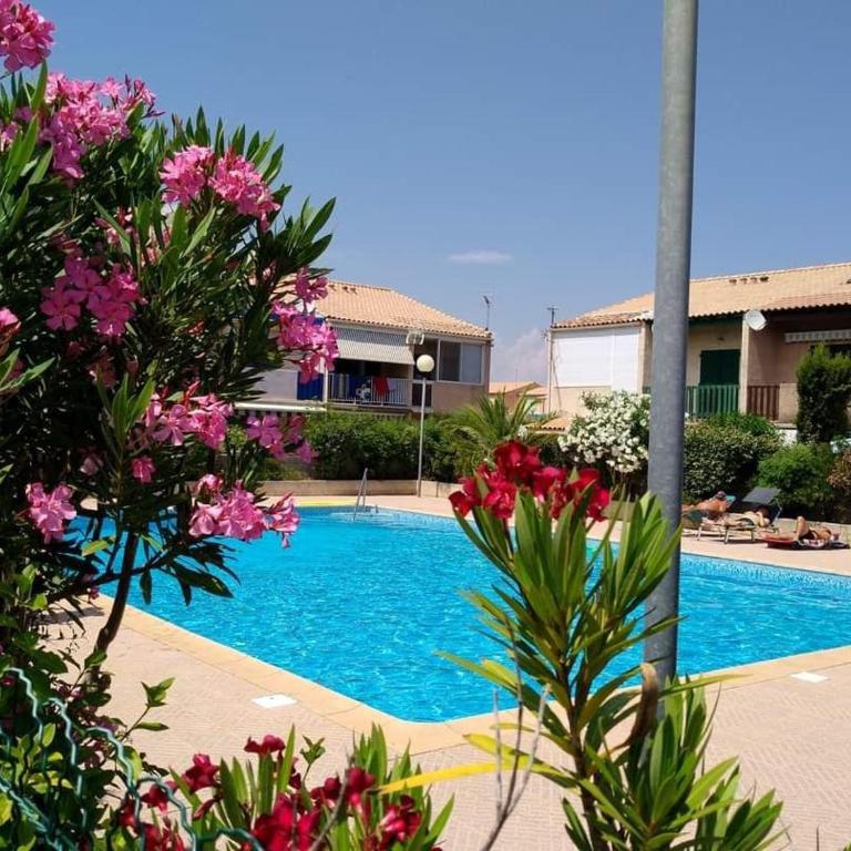 L'Appart de Karine et Nico - Appartement - Vue sur Piscine - 1