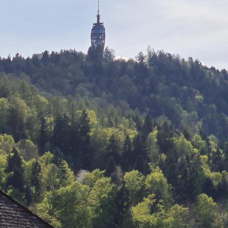 Beutlich's Wörtherseeappartements - Apartment mit 1 Schlafzimmer - 34