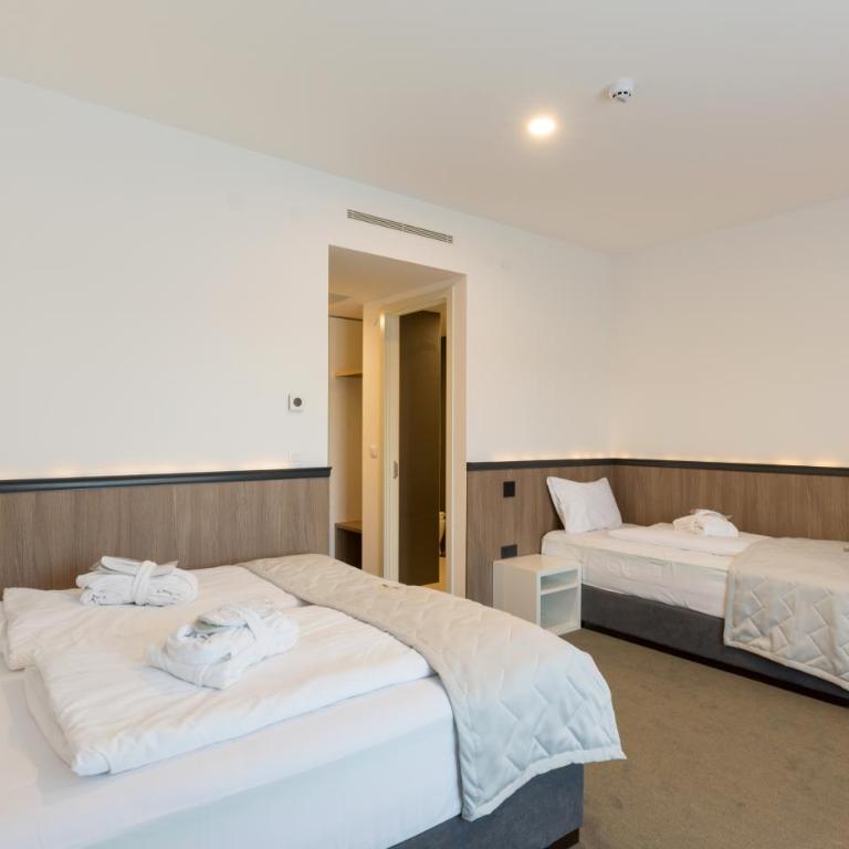 Hotel Crni Vrh - Dvokrevetna Soba sa Bračnim Krevetom/Zasebnim Krevetima - 6