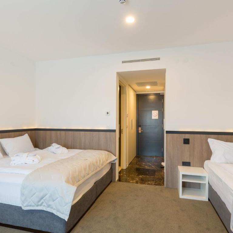 Hotel Crni Vrh - Dvokrevetna Soba sa Bračnim Krevetom/Zasebnim Krevetima - 5