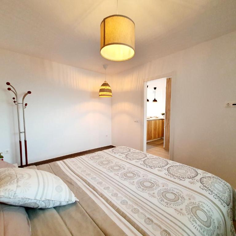 Mallorca Seaviews Apt - Apartamento de 1 dormitorio - 14