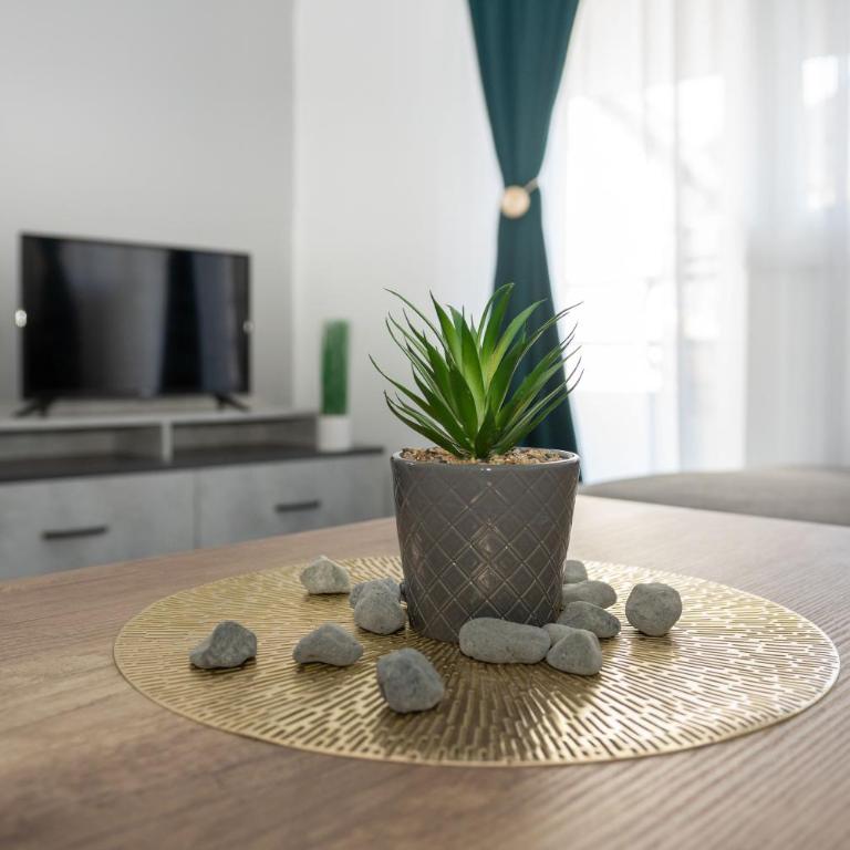 The Jewel of Mostar - Apartment with Balcony - 29