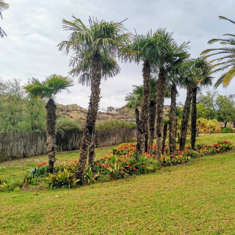VeraTespera - Vera Playa WiFi, Piscina, Ocio Familiar - Apartamento de 2 dormitorios - 29