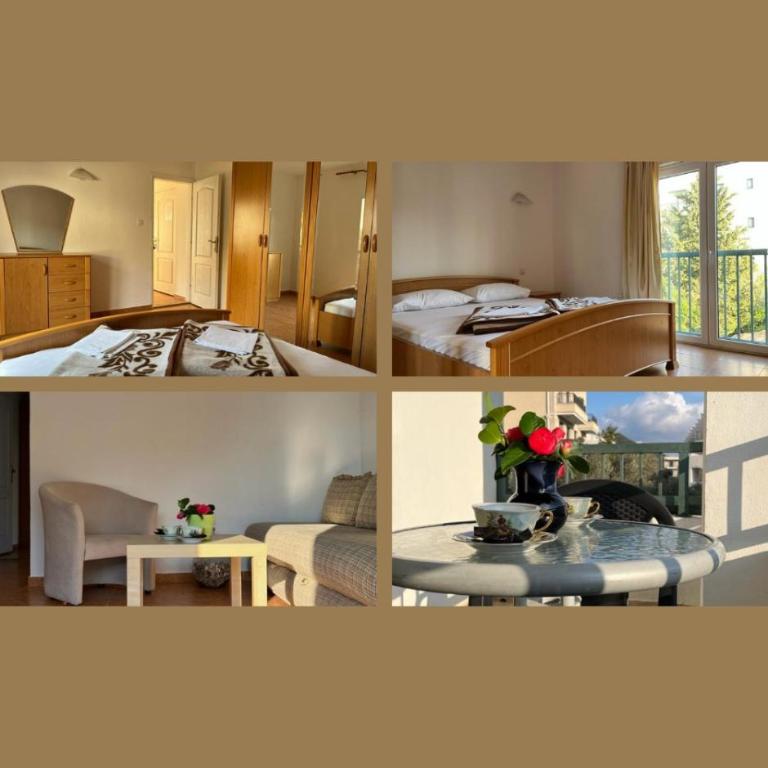 Apartments and Room MV - Superior Apartment - 4