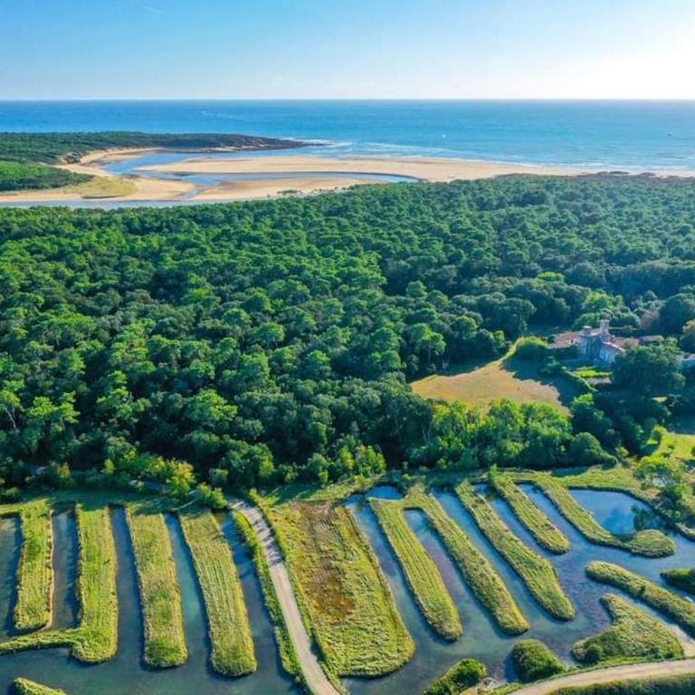 Charmant T2 au coeur du golf de port Bourgenay - Appartement - Rez-de-Chaussée - 43