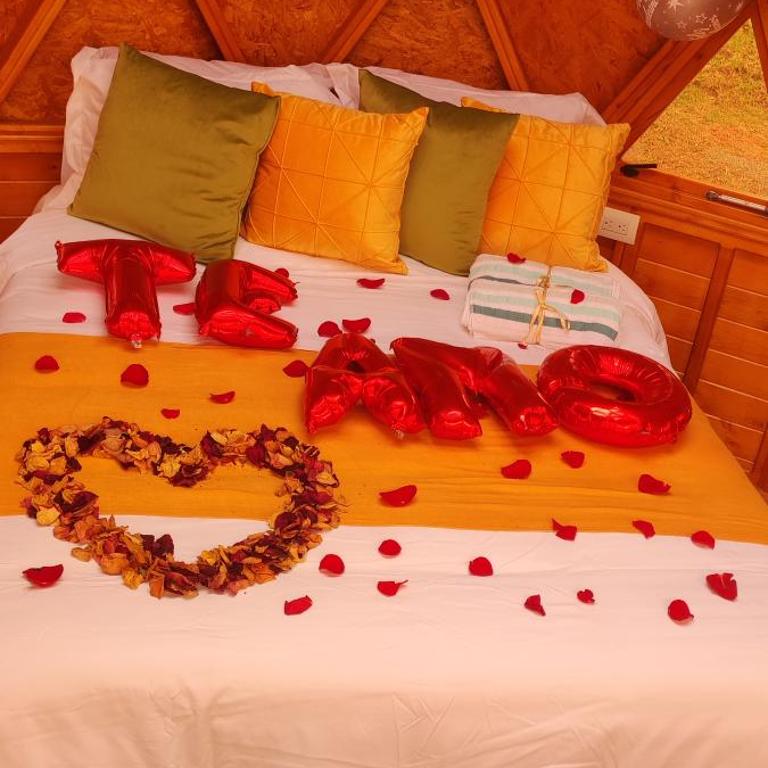 Glamping - Domo el Frailejón con Jacuzzi - One-Bedroom House - 15